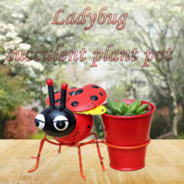 Cute Metal Ladybug Succulent Plant Pots Home Decor China Manufacturer