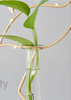 nordic transparent glass flamingo flower plant bonsai pot for indoor table factory