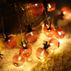 Warm White Metal Apple Ball Holiday Party Decorative Battery LED String Light