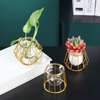 Wholesale Manufacturer Indoor Metal Stand Glass Flower Vase Plant Pot for Home Wedding Table Decor